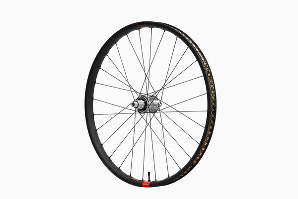 Reserve 31 DH Carbon Wheelset (upgrade)