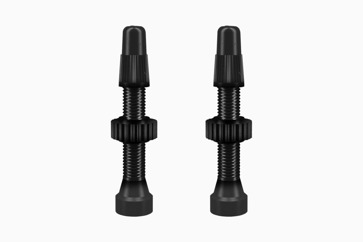 Wtb on sale tubeless valve